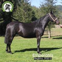 Emperatriz- 293515
